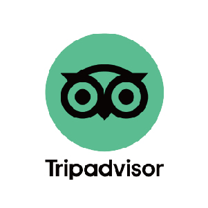 Tripadvisor 旅行者之選最風雲得主