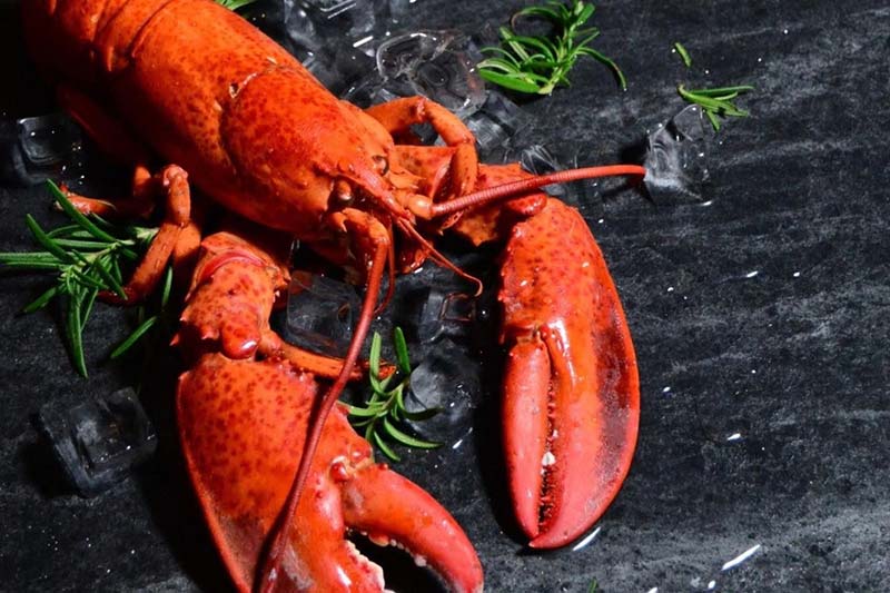 Meat is great, but seafood is a must!